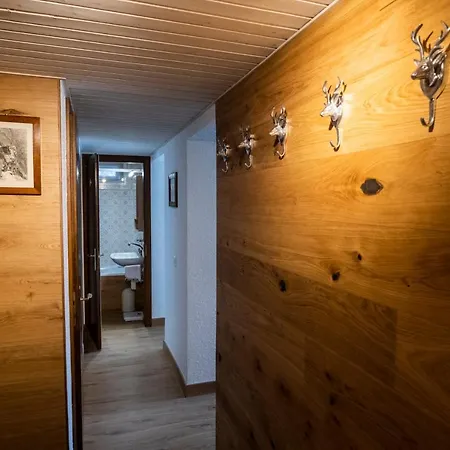 De Montagne, Idealement Situe Apartment *