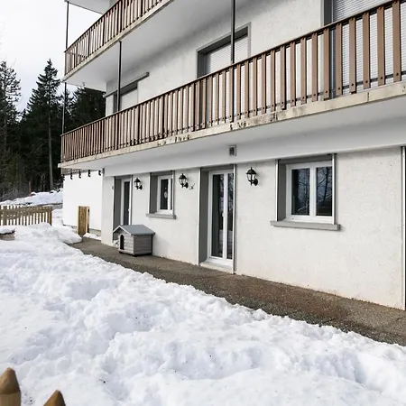 De Montagne, Idealement Situe *