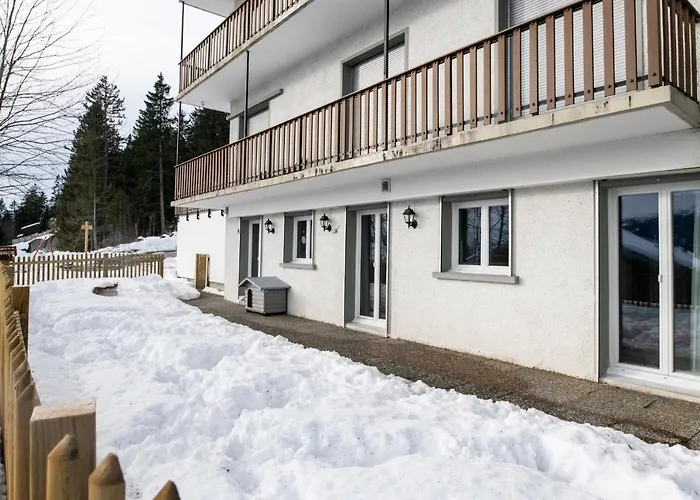 De Montagne, Idealement Situe *